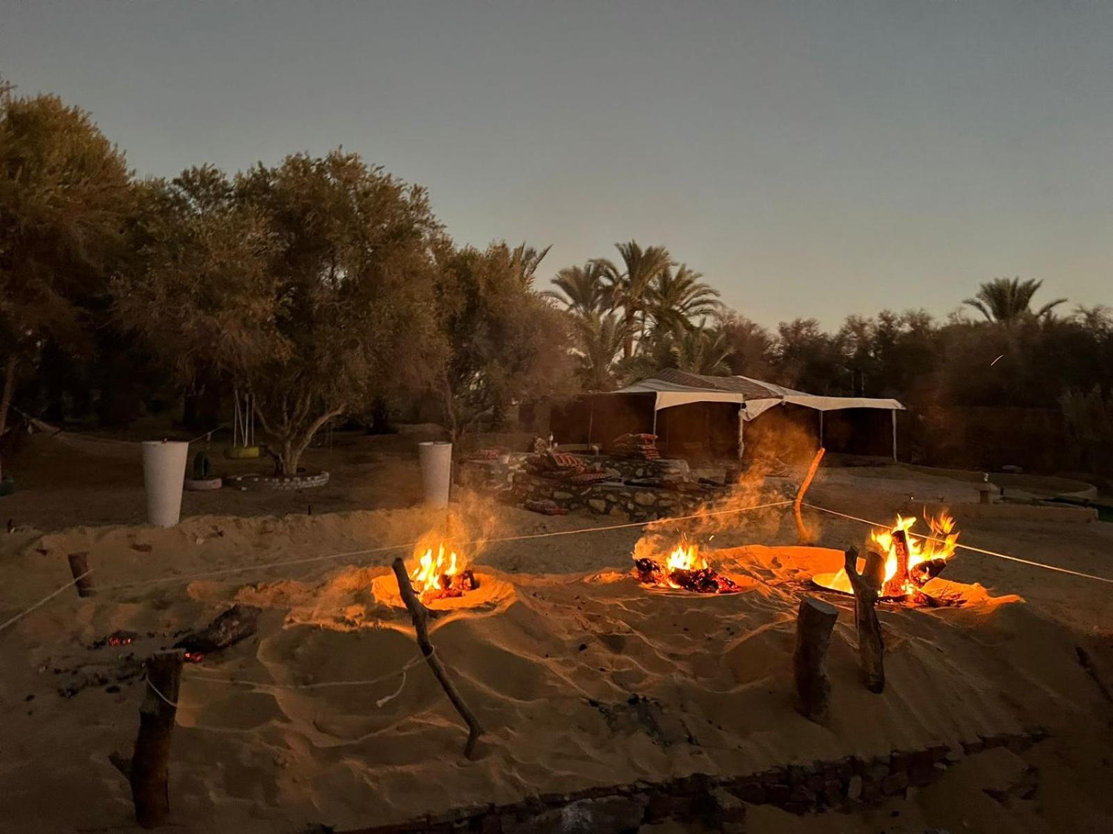 Aghurmi Siwa Ecolodge & Salt Cave Siwa Oasis Exterior foto